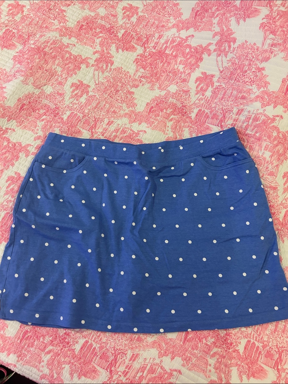 Kim rogers Blue Polka Dot A-Line Skort